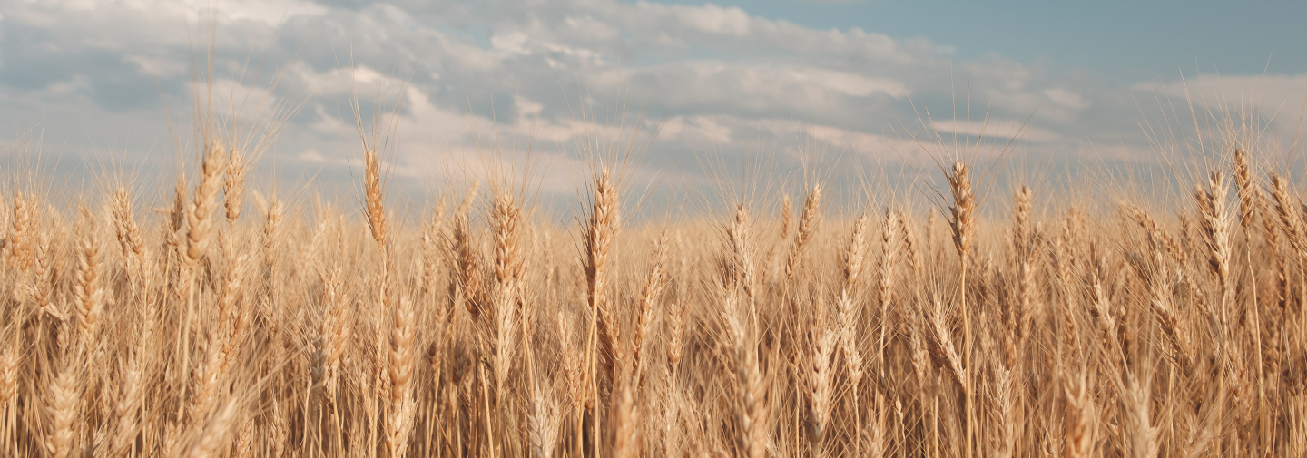 Благодійний фонд Мортранс